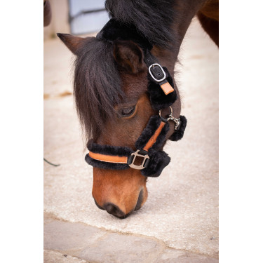 Cabezada de cuadra Pénélope Soft Negro Cabezada de cuadra Pénélope Soft Negro