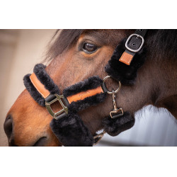 Cabezada de cuadra Pénélope Soft Negro