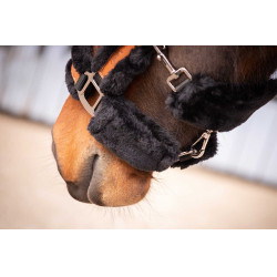 Cabezada de cuadra Pénélope Soft Negro