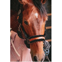 Cabezada de cuadra Pénélope Soft Negro