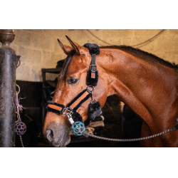 Cabezada de cuadra Pénélope Soft Negro