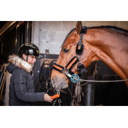 Cabezada de cuadra Pénélope Soft Negro