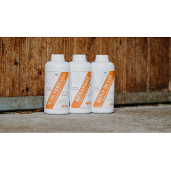 Complemento alimentario Rekor Aloe Vera zumo