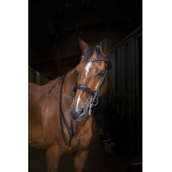 Cabezada Eric Thomas Hybrid Weymouth Negro