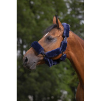 Juego para cabezada Equithème Teddy Azul marino Juego para cabezada Equithème Teddy Azul marino