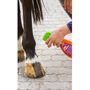 Limpiador exprés abrigo Equinatura Limpiador exprés abrigo Equinatura