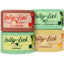 Pierre à sel HIPPOTONIC - LOLLY-LICK