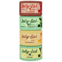 Pierre à sel HIPPOTONIC - LOLLY-LICK