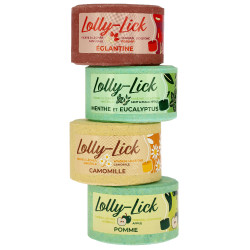 Pierre à sel HIPPOTONIC - LOLLY-LICK