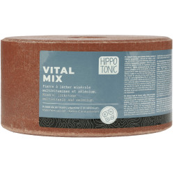 Pierre à sel HIPPOTONIC - Vitalmix