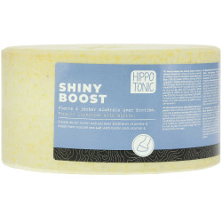 Pierre à sel HIPPOTONIC - Shiny boost