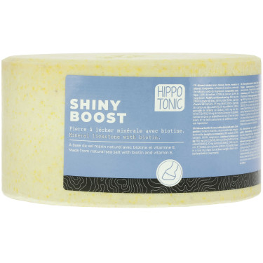 Pierre à sel HIPPOTONIC - Shiny boost Pierre à sel HIPPOTONIC - Shiny boost