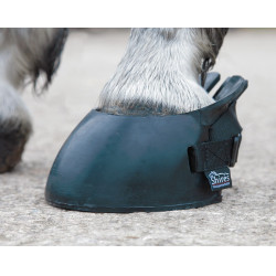 Zapatos de goma caballo Shires Negro
