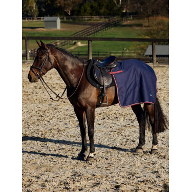 Manta trasera cuadrada Weatherbeeta forrada de polar Esencial Azúl marino / burdeos