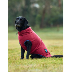 Manta polar para perro Weatherbeeta ComFiTec Burdeos / azúl marino