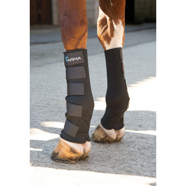 Protecciones Arma Shires Negro