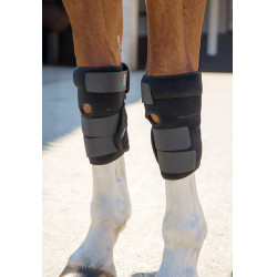 Protecciones terapéuticas para tendones Arma Shires Negro Protecciones terapéuticas para tendones Arma Shires Negro