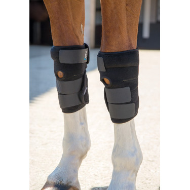 Protecciones terapéuticas para tendones Arma Shires Negro Protecciones terapéuticas para tendones Arma Shires Negro