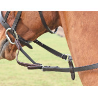 Flexi Rein® Shires Negro