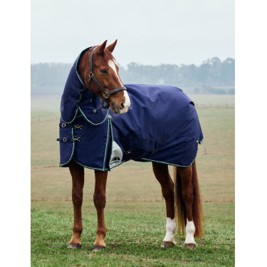 Manta Weatherbeeta ComFiTec Dynamic Turnout 220 g con cuello desmontable Marino / verde bosque Azul Manta Weatherbeeta ComFiTec Dynamic Turnout 220 g con cuello desmontable Marino / verde bosque Azul