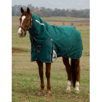 Manta Weatherbeeta ComFiTec Dynamic Turnout 220 g con cuello desmontable Verde bosque / marino