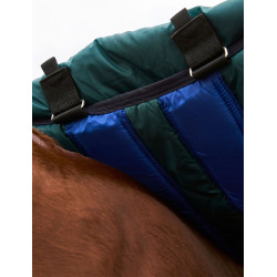Manta Weatherbeeta ComFiTec Dynamic Turnout 220 g con cuello desmontable Verde bosque / marino