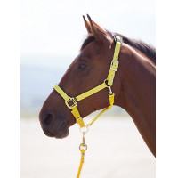 Cabezada cuadra nylon Topaz Shires Amarillo