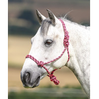 Cabezada etologica Control Shires Rosa / negro