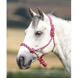 Cabezada etologica Control Shires Rosa / negro