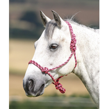 Cabezada etologica Control Shires Rosa / negro