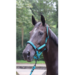 Ramales de amarre LAMI-CELL - Charming Turquesa Azul