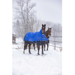 Manta Equithème - TYREX Aisance 1200D - Cuello Alto Azul real Manta Equithème - TYREX Aisance 1200D - Cuello Alto Azul real