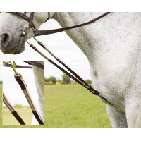 Riendas Harbridge Shires Castaño