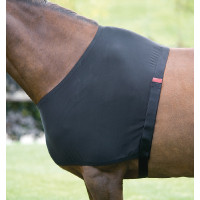 Protección de espaldas Stretch Shires Negro