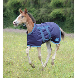 Manta para potro Tempest Shires Marina / turquesa Azul
