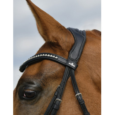Brida de doma Collegiate ComFiTec Opulux acolchada Negro Brida de doma Collegiate ComFiTec Opulux acolchada Negro
