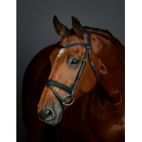 Brida flash hanoveriana Collegiate ComFiTec Opulux lisa acolchada Negro