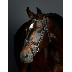 Brida hanoveriana Collegiate acolchada ComFiTec Opulux Fancy Stitch Negro