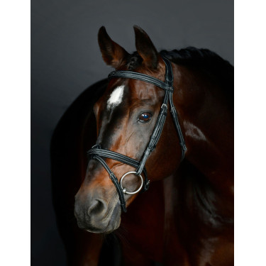 Brida hanoveriana Collegiate acolchada ComFiTec Opulux Fancy Stitch Negro Brida hanoveriana Collegiate acolchada ComFiTec Opulux Fancy Stitch Negro