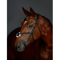 Brida con muserola cruzada Collegiate ComFiTec Opulux acolchada Negro