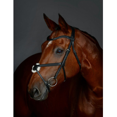 Brida con muserola cruzada Collegiate ComFiTec Opulux acolchada Negro