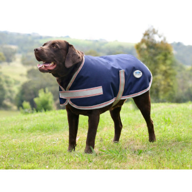 Manta para perro Weatherbeeta ComFiTec Essential Azul marino / plata / rojo Manta para perro Weatherbeeta ComFiTec Essential Azul marino / plata / rojo