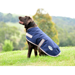 Manta para perro Weatherbeeta ComFiTec Essential Azul marino / plata / rojo