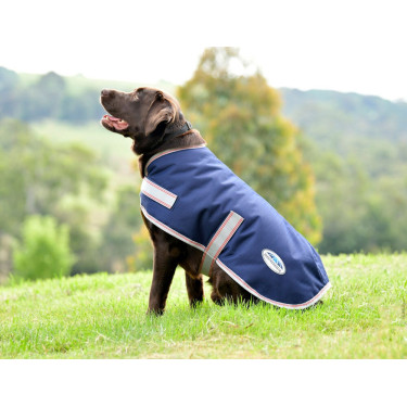 Manta para perro Weatherbeeta ComFiTec Essential Azul marino / plata / rojo Manta para perro Weatherbeeta ComFiTec Essential Azul marino / plata / rojo