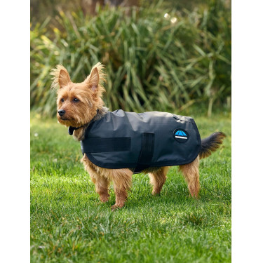 Manta impermeable para perro WeatherBeeta ComFiTec Classic Carbón vegetal Gris Manta impermeable para perro WeatherBeeta ComFiTec Classic Carbón vegetal Gris