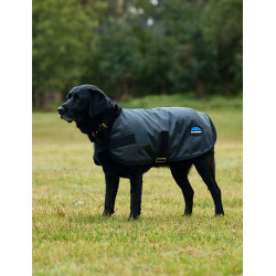 Manta impermeable para perro WeatherBeeta ComFiTec Classic Carbón vegetal Gris
