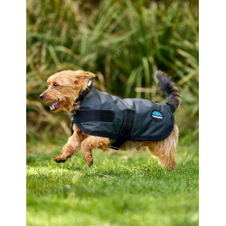 Manta impermeable para perro WeatherBeeta ComFiTec Classic Carbón vegetal Gris