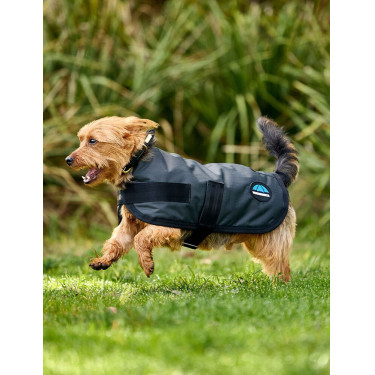 Manta impermeable para perro WeatherBeeta ComFiTec Classic Carbón vegetal Gris Manta impermeable para perro WeatherBeeta ComFiTec Classic Carbón vegetal Gris