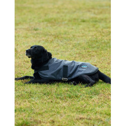 Manta impermeable para perro WeatherBeeta ComFiTec Classic Carbón vegetal Gris