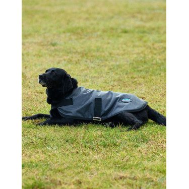 Manta impermeable para perro WeatherBeeta ComFiTec Classic Carbón vegetal Gris Manta impermeable para perro WeatherBeeta ComFiTec Classic Carbón vegetal Gris